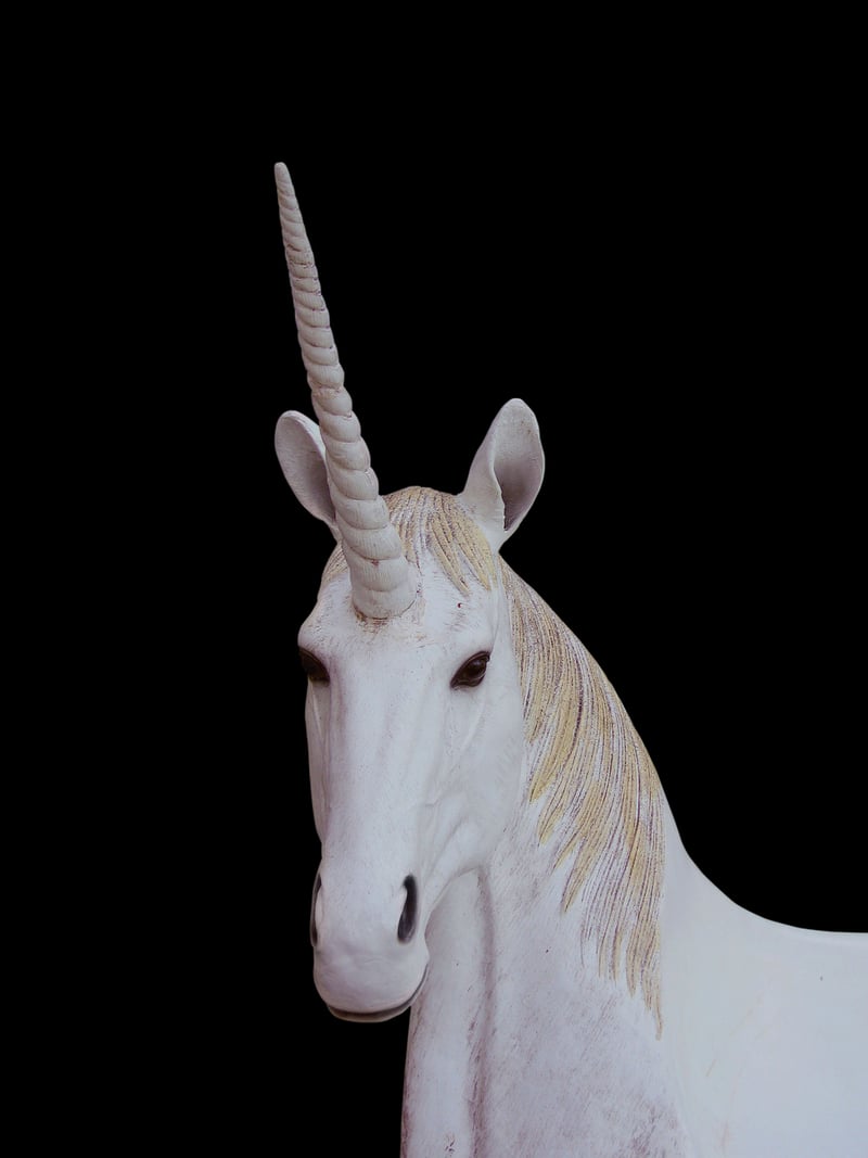 Unicorn in the Meadow